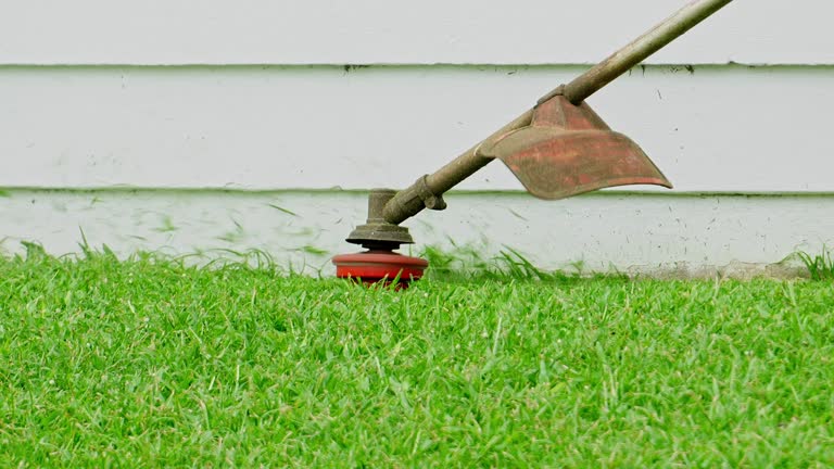 Best Hazardous Tree Removal  in Hybla Lley, VA